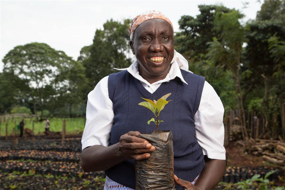 A FarmMoja farmer holding an avocado seedling
