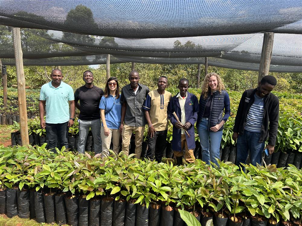 FarmMoja team at the certified avocado nursery, Kericho