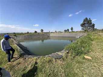300+ acre commercial orchard, Narok