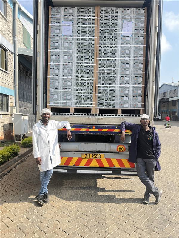 Direct export operations
